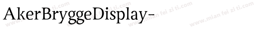 AkerBryggeDisplay字体转换