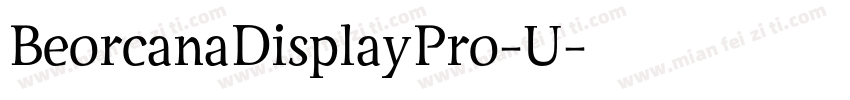 BeorcanaDisplayPro-U字体转换