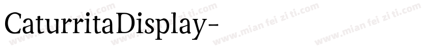 CaturritaDisplay字体转换