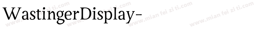 WastingerDisplay字体转换