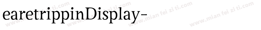 earetrippinDisplay字体转换