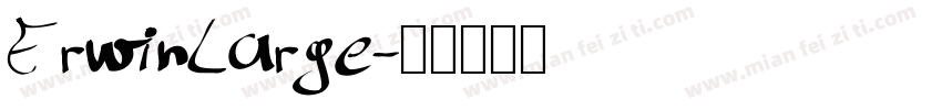 ErwinLarge字体转换