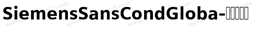 SiemensSansCondGloba字体转换