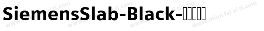 SiemensSlab-Black字体转换