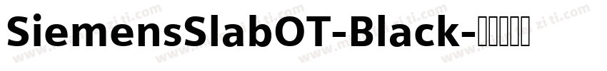 SiemensSlabOT-Black字体转换