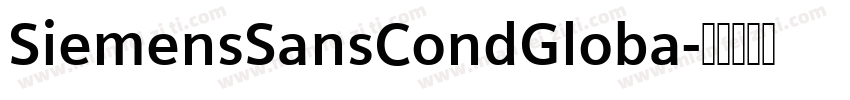 SiemensSansCondGloba字体转换