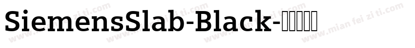 SiemensSlab-Black字体转换