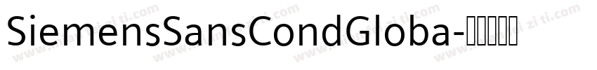SiemensSansCondGloba字体转换