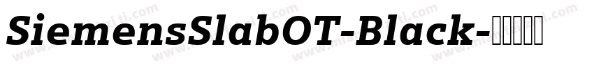SiemensSlabOT-Black字体转换