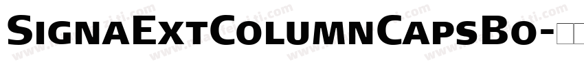 SignaExtColumnCapsBo字体转换