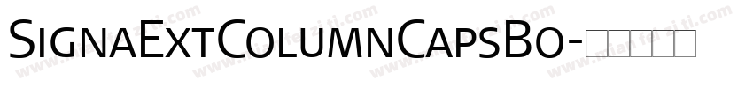 SignaExtColumnCapsBo字体转换