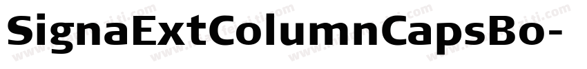 SignaExtColumnCapsBo字体转换