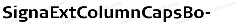 SignaExtColumnCapsBo字体转换