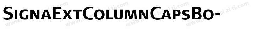 SignaExtColumnCapsBo字体转换
