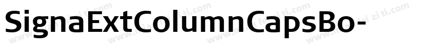 SignaExtColumnCapsBo字体转换