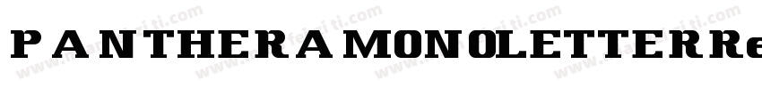 PANTHERAMONOLETTERRegular字体转换