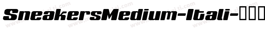 SneakersMedium-Itali字体转换