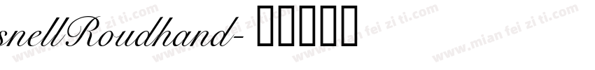 snellRoudhand字体转换