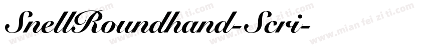 SnellRoundhand-Scri字体转换