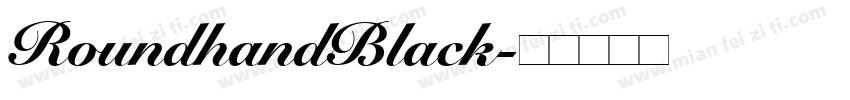 RoundhandBlack字体转换