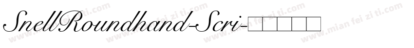 SnellRoundhand-Scri字体转换