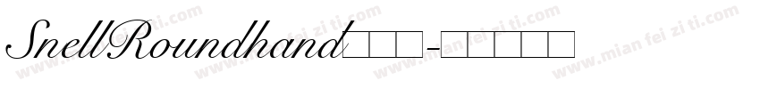 SnellRoundhand手机版字体转换