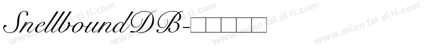 SnellboundDB字体转换