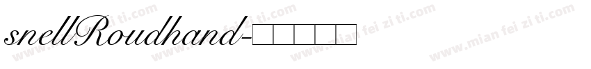 snellRoudhand字体转换