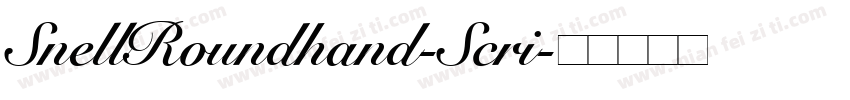 SnellRoundhand-Scri字体转换