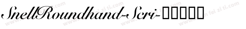 SnellRoundhand-Scri字体转换