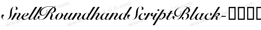 SnellRoundhandScriptBlack字体转换