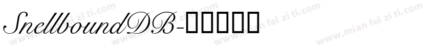 SnellboundDB字体转换