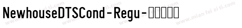 NewhouseDTSCond-Regu字体转换