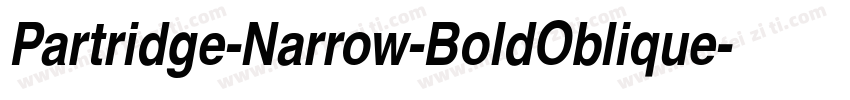 Partridge-Narrow-BoldOblique字体转换