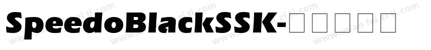 SpeedoBlackSSK字体转换