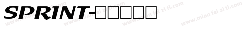 SPRINT字体转换