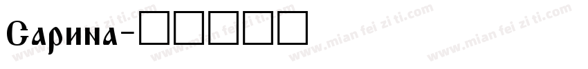 Sarina字体转换