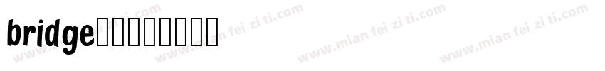 bridge字库字体转换