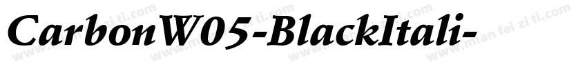 CarbonW05-BlackItali字体转换