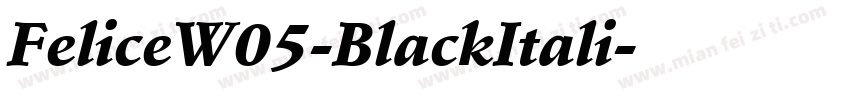 FeliceW05-BlackItali字体转换