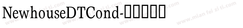 NewhouseDTCond字体转换