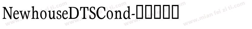 NewhouseDTSCond字体转换