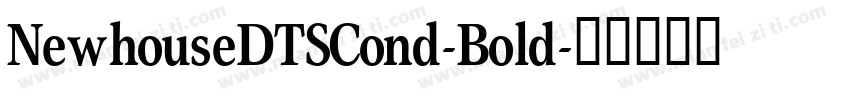 NewhouseDTSCond-Bold字体转换