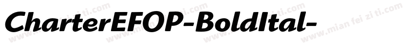CharterEFOP-BoldItal字体转换