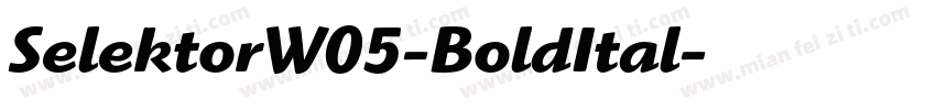 SelektorW05-BoldItal字体转换