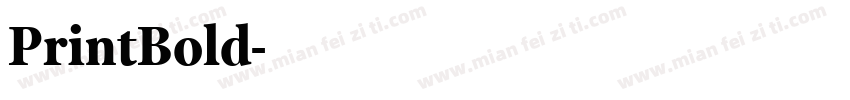 PrintBold字体转换
