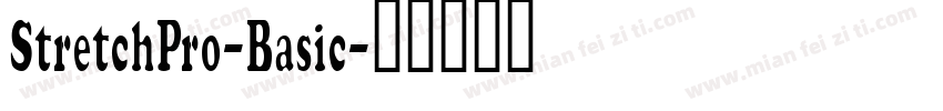 StretchPro-Basic字体转换