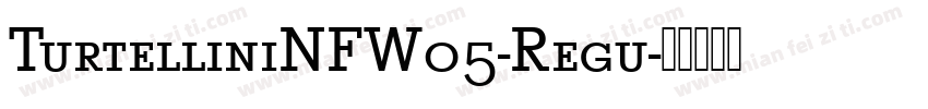 TurtelliniNFW05-Regu字体转换