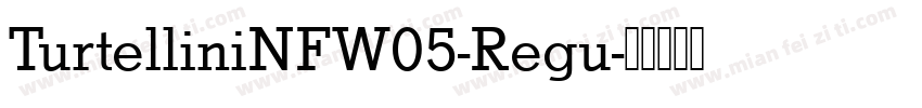 TurtelliniNFW05-Regu字体转换