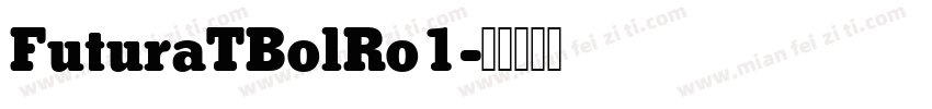 FuturaTBolRo1字体转换